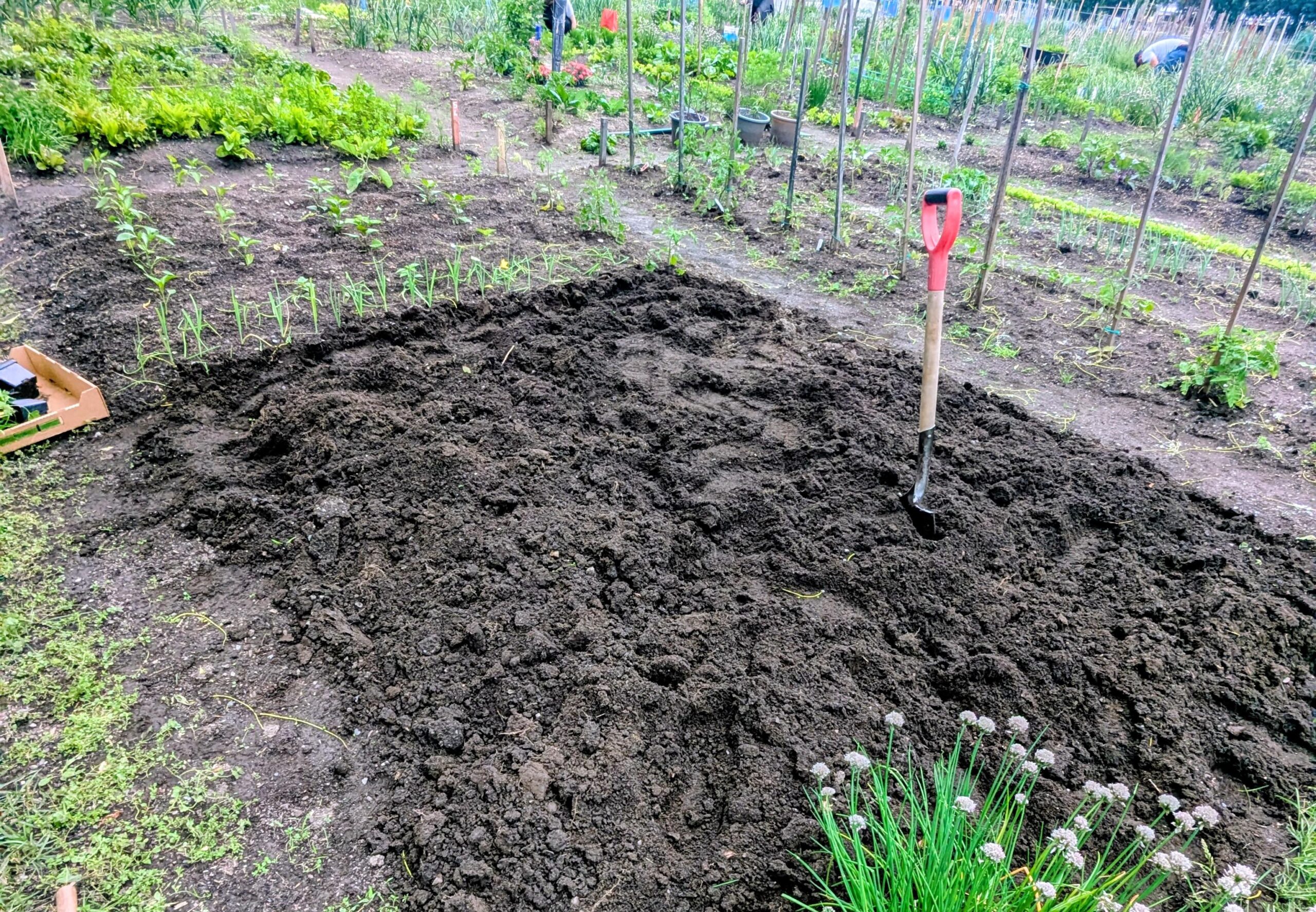 L&rsquo;été le plus long